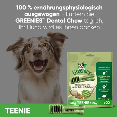 Greenies Dental Chew Teenie, 170g für Hunde 2-7kg. Hilft Plaque und Zahnsteinbildung zu reduzieren. Hergestellt mit natürlichen Zutaten. 100% ausgewogen. Packung enthält 22 Stück.