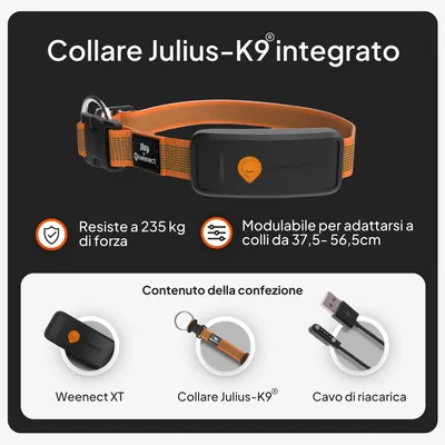 Collare Julius-K9 integrato con Weenect XT, resiste a una forza di trazione di 235 kg, regolabile per una circonferenza del collo da 37,5 a 56,5 cm. Contenuto della confezione: Weenect XT, collare Julius-K9, cavo di ricarica. Collare Julius-K9 integrato con Weenect XT, resiste a una forza di trazione di 235 kg, regolabile per una circonferenza del collo da 37,5 a 56,5 cm. Contenuto della confezione: Weenect XT, collare Julius-K9, cavo di ricarica.