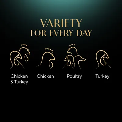 VARIETY FOR EVERY DAY, Chicken & Turkey, Chicken, Poultry, Turkey feliratok angolul, négy baromfi sziluettjével.