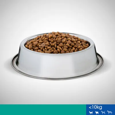 Ciotola in metallo con crocchette per cani, indicazione visibile: meno di 10 kg, icone di quattro taglie di cane in basso a destra.