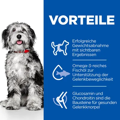 Vorteile: Erfolgreiche Gewichtsabnahme mit sichtbaren Ergebnissen, Omega-3-reiches Fischöl für Gelenkbeweglichkeit, Glucosamin und Chondroitin für gesunden Gelenkknorpel.