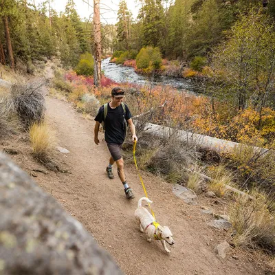 Ruffwear Flagline -talutin
