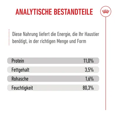 Royal Canin Sterilised Kitten in Soße