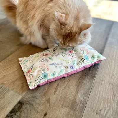 Cushion with floral pattern on wooden floor, sniffed by a cat.