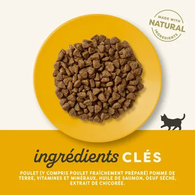 Applaws pour chaton