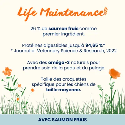 Almo Nature Adult Medium, saumon & riz