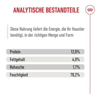 Royal Canin Kitten in Soße