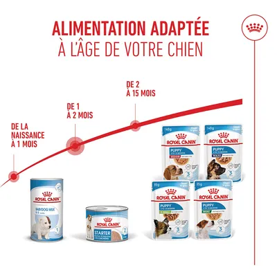 Recommandation d’alimentation pour chiens : Royal Canin Lait Babydog de la naissance jusqu’à 1 mois, Starter de 1 à 2 mois, produits Puppy de 2 à 15 mois. Recommandation d’alimentation pour chiens : Royal Canin Lait Babydog de la naissance jusqu’à 1 mois, Starter de 1 à 2 mois, produits Puppy de 2 à 15 mois.