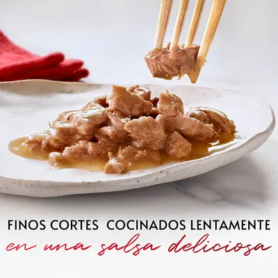 Finos cortes cocinados lentamente en una salsa deliciosa, texto visible sobre plato de trozos de carne húmeda para mascotas.