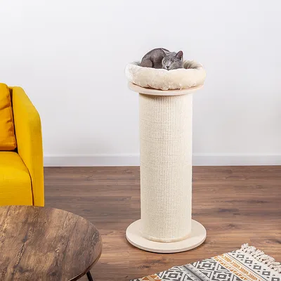 Rascador con cama de felpa beige en la parte superior, donde descansa un gato gris. Adecuado para rascar y descansar.
