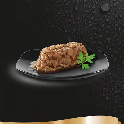 Portion of wet pet food on a black plate with a sprig of parsley garnish, shown against a dark background with water droplets. No visible brand or text.