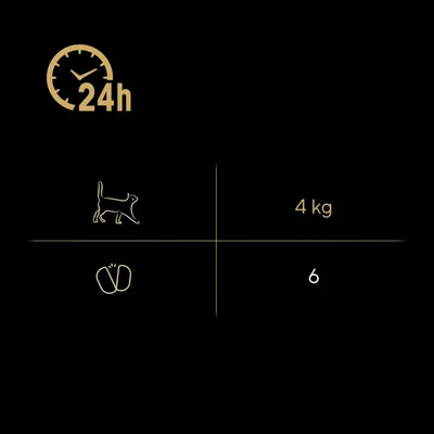 Conseils d’alimentation : pour un chat de 4 kg, donner 6 portions par 24h. Illustration d’un chat, symbole portion et texte « 4 kg », « 6 », « 24h ».