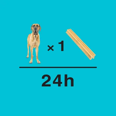 Feeding guide showing one chew stick per day for a dog, with the text '×1' and '24h' displayed.
