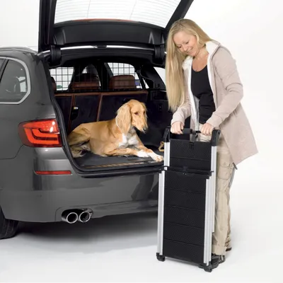 Hond ligt in de open kofferbak van een auto. Vrouw houdt een opvouwbare hondentrap van metaal en kunststof naast de auto.
