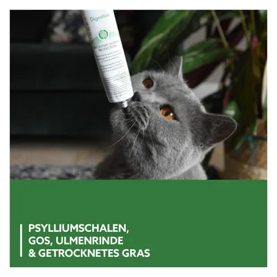 Katze schnuppert an Tube mit der Aufschrift 'Digestion Digestive-System Protection'. Text: Psylliumschalen, GOS, Ulmenrinde & getrocknetes Gras.
