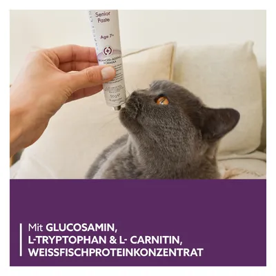 Chat gris reniflant un tube de Senior Paste Age 7+ Balanced-Ageing Formula 50 g. Texte visible : Mit Glucosamin, L-Tryptophan & L-Carnitin, Weissfischproteinkonzentrat (en allemand).