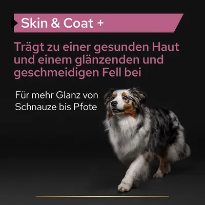 Skin & Coat+. Trägt zu gesunder Haut und glänzendem, geschmeidigem Fell bei. Für mehr Glanz von Schnauze bis Pfote.