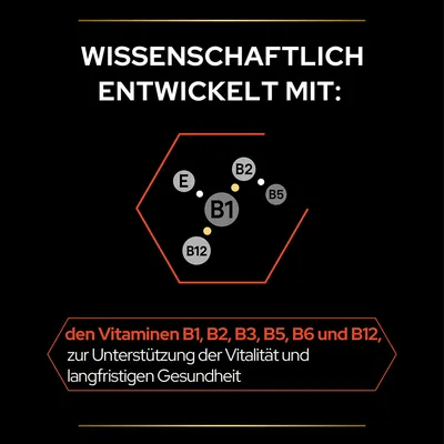 Texte en allemand : Wissenschaftlich entwickelt mit den Vitaminen B1, B2, B3, B5, B6 und B12 zur Unterstützung der Vitalität und langfristigen Gesundheit. Schéma avec vitamines E, B1, B2, B5, B12.