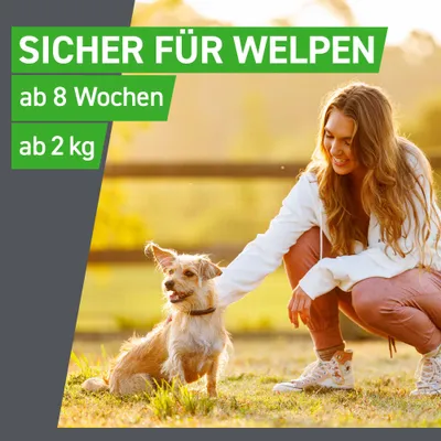 Frontline® Combo Spot-on Hund L (20 - 40 kg)