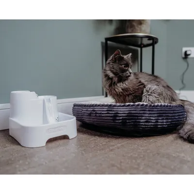 Pet lying on a round, plush bed next to an automatic water fountain, demonstrating use of both the pet bed and water dispenser in a home setting.