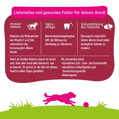Liebevolles und gesundes Futter für deinen Hund: Unterstützung Immunsystem, Zahnpflege, Gelenke. Keine künstlichen Zusatzstoffe oder Weizengluten.