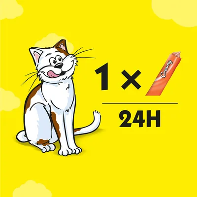 Ilustrace kočky s textem: 1 x Creamy za 24 hodin.