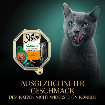 Sheba Nature's Collection in Sauce, mit Truthahn garniert mit Karotten, 85g. Ausgezeichneter Geschmack, dem Katzen nicht widerstehen können.
