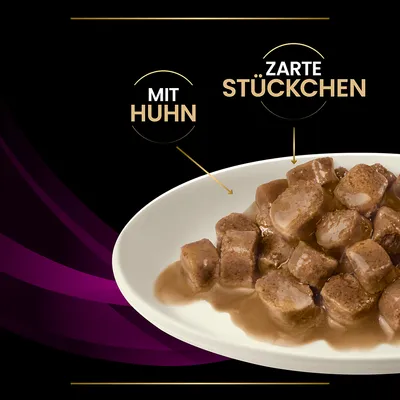 Zarte Stückchen mit Huhn in Sosse, serviert auf einem weissen Teller. Produktbeschreibung für Nassfutter.