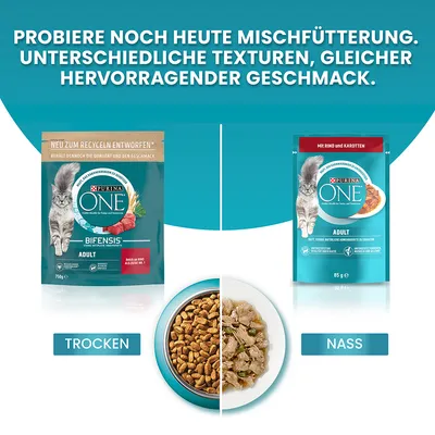 Purina ONE Adult mixed feeding: dry food with beef, wet food with beef and carrots. Different textures, same excellent taste.