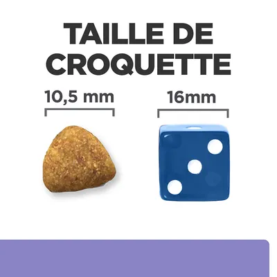 Taille de croquette : croquette triangulaire 10,5 mm à côté d’un dé bleu 16 mm pour comparaison visuelle