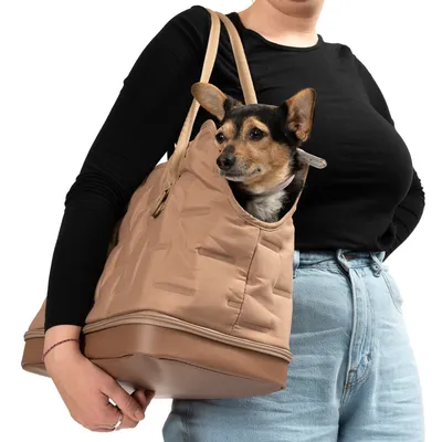 Beige kantolaukku koiralla, sopii pienten lemmikkien kuljetukseen. Laukussa kantokahvat ja sivuaukko.