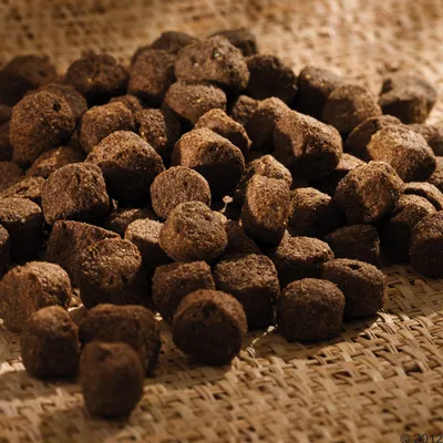 Crocchette marroni di forma irregolare disposte su una superficie intrecciata, senza confezione o marchio visibile.