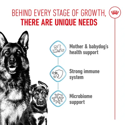 Graphic with the texts: Mother & babydog's health support, Strong immune system, Microbiome support. Heading: Behind every stage of growth, there are unique needs. Graphic with the texts: Mother & babydog's health support, Strong immune system, Microbiome support. Heading: Behind every stage of growth, there are unique needs.