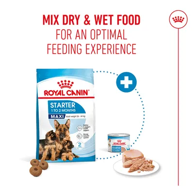 Royal Canin Maxi Starter Mother & Babydog