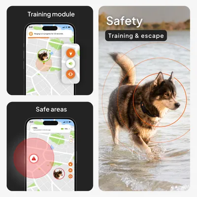 Weenect Pet XT GPS nyomkövető kutyáknak