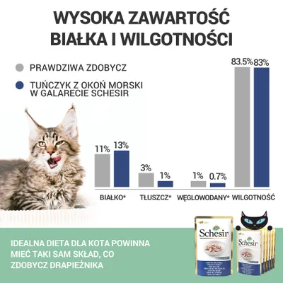 Porównanie składu: białko 11% zdobycz, 13% Schesir; tłuszcz 3% zdobycz, 1% Schesir; węglowodany 1% zdobycz, 0,7% Schesir; wilgotność 83,5% zdobycz, 83% Schesir. Opakowania Schesir widoczne.