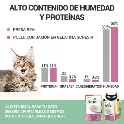 Comparativa de nutrientes: presa real vs pollo con jamón en gelatina Schesir. Proteína 11 %, grasas 3 %/0,7 %, carbohidratos 1 %/0,8 %, humedad 83,5 %/85 %. Dieta ideal para gatos.