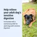Virbac Veterinary HPM Adult Dog Sensitive Digest Large & Medium
