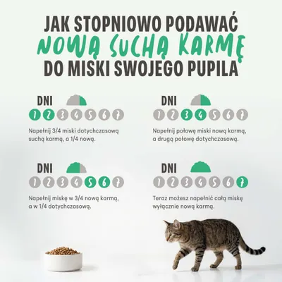 Grafika przedstawiająca stopniowe przechodzenie na nową suchą karmę: proporcje starej i nowej karmy na dni 1-7, z wizerunkiem kota i miski na karmę. Grafika przedstawiająca stopniowe przechodzenie na nową suchą karmę: proporcje starej i nowej karmy na dni 1-7, z wizerunkiem kota i miski na karmę.