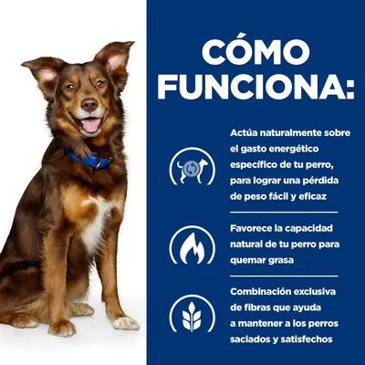 Texto: Cómo funciona. Actúa naturalmente sobre el gasto energético específico de tu perro para lograr una pérdida de peso fácil y eficaz. Favorece la capacidad natural para quemar grasa. Combinación exclusiva de fibras que ayuda a mantener a los perros saciados y satisfechos.