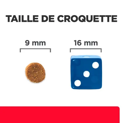 Taille de croquette : diamètre 9 mm comparé à un dé bleu de 16 mm. Texte visible : TAILLE DE CROQUETTE, 9 mm, 16 mm.