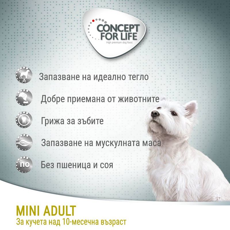 Concept for Life Mini Adult