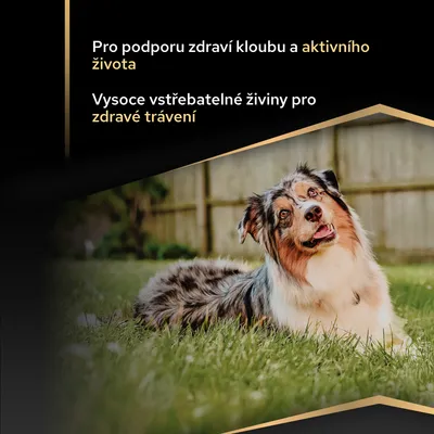 Podporuje zdravé klouby a aktivní život. Vysoce stravitelné živiny pro zdravé trávení. Podporuje zdravé klouby a aktivní život. Vysoce stravitelné živiny pro zdravé trávení.
