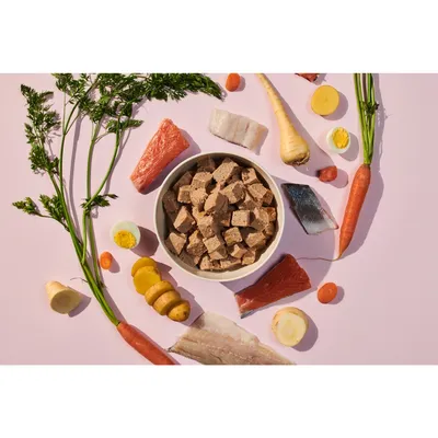 Bowl of cubed pet food surrounded by visible ingredients including carrots, potatoes, fish, egg, and root vegetables, showing main components of the product.