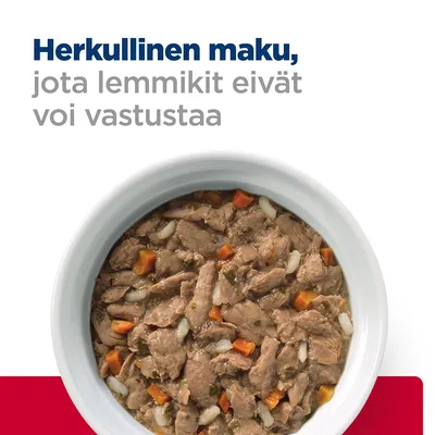 Herkullinen maku, jota lemmikit eivät voi vastustaa. Kuvassa kulhollinen lihapaloja, porkkanaa ja riisiä kastikkeessa.