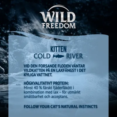 Wild Freedom Kitten "Cold River" - Salmon