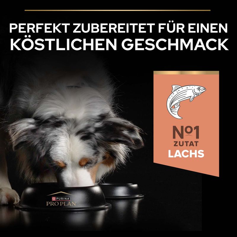 PURINA PRO PLAN Large Athletic Adult Sensitive Skin Lachs