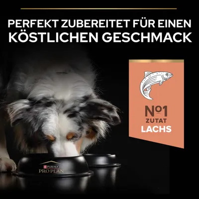 PURINA PRO PLAN Large Athletic Adult Sensitive Skin Lachs
