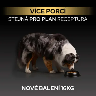 Pes jí z misky, Text: Více porcí, stejná receptura Pro Plan, nové balení, 16 kg.