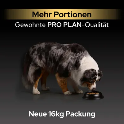 PURINA PRO PLAN Medium Adult Sensitive Skin - 16 kg